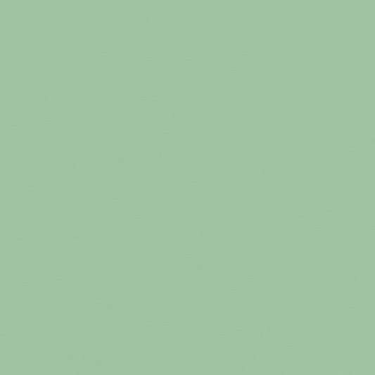 Green Bib Apron Two Pockets